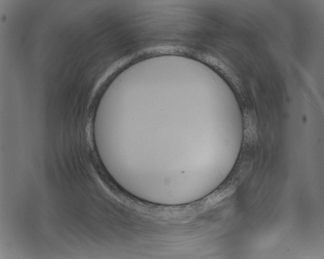 X0000071830016200606301047