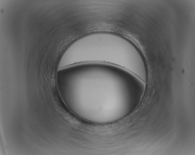 X0000071830017200606301047