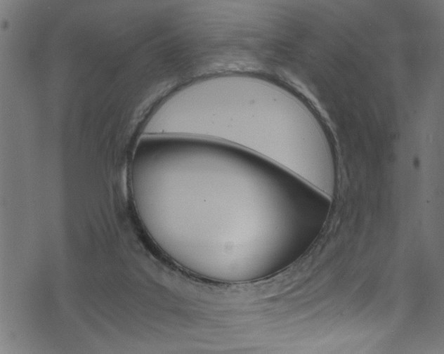 X0000071830019200606301046