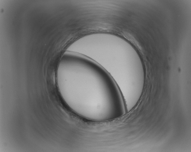 X0000071830021200606301046