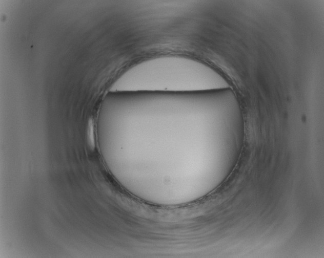 X0000071830022200606301046