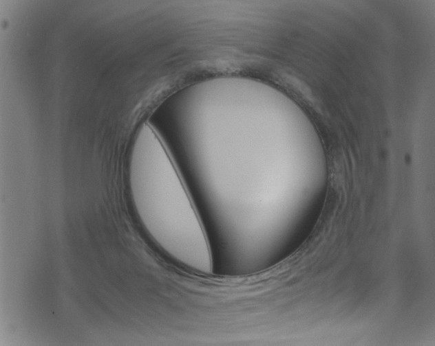 X0000071830023200606301046