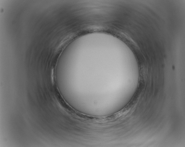 X0000071830024200606301046