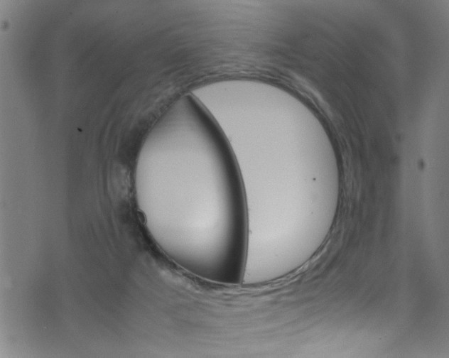 X0000071830025200606301046