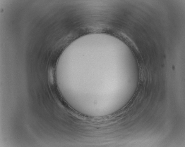 X0000071830026200606301046