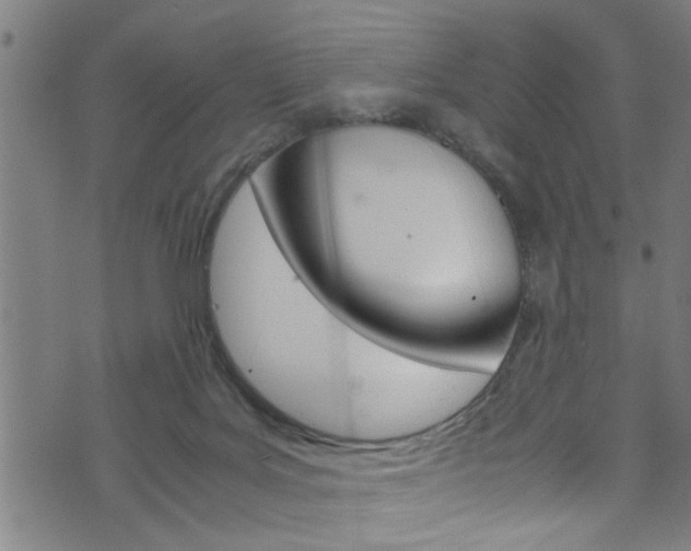 X0000071830027200606301046