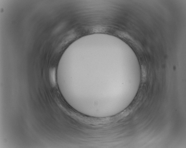 X0000071830028200606301046