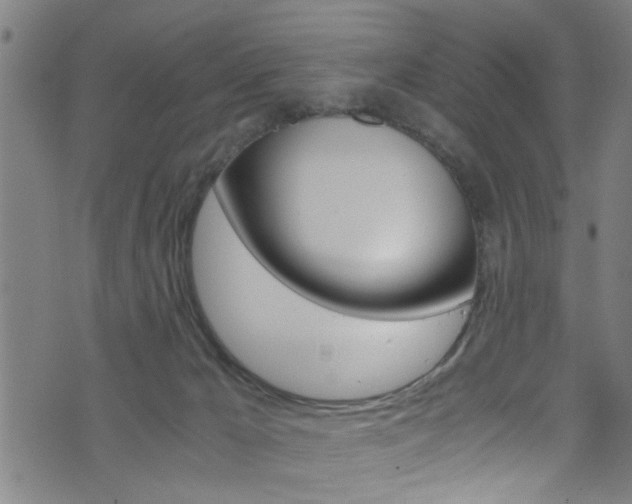 X0000071830029200606301046