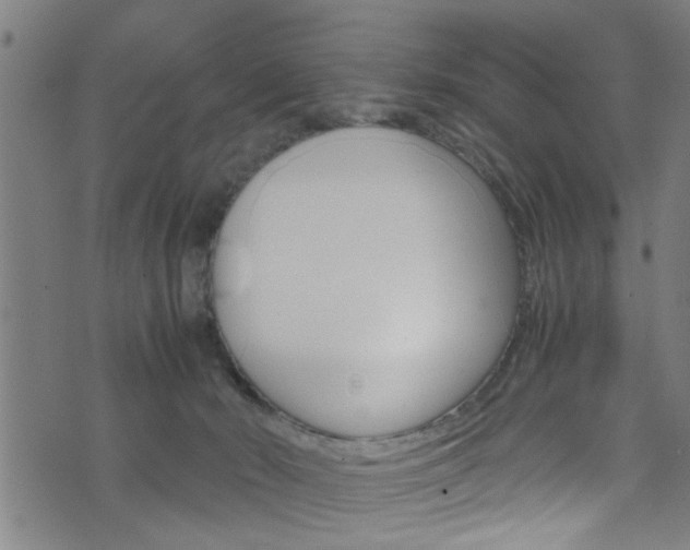 X0000071830030200606301046