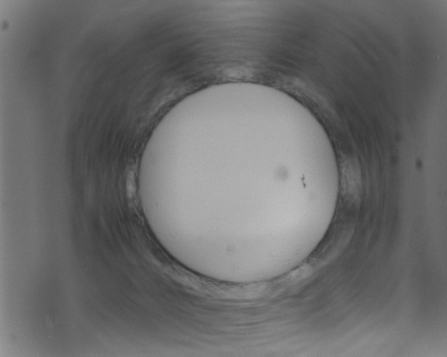 X0000071830032200606301046