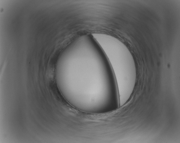 X0000071830033200606301046