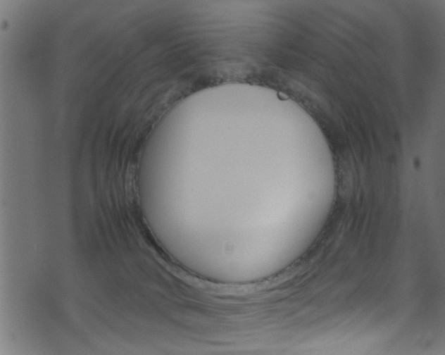 X0000071830034200606301046