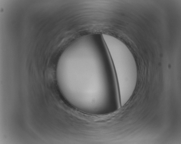 X0000071830035200606301046