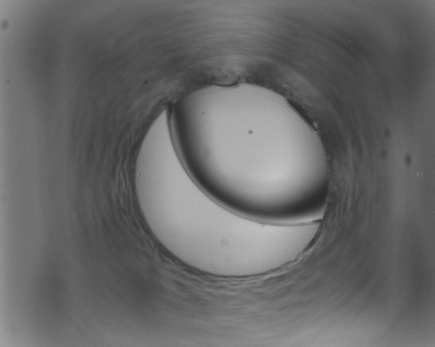 X0000071830037200606301046