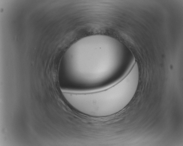 X0000071830039200606301046