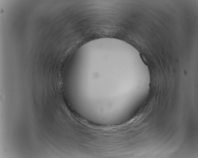 X0000071830040200606301046