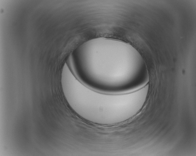 X0000071830041200606301046