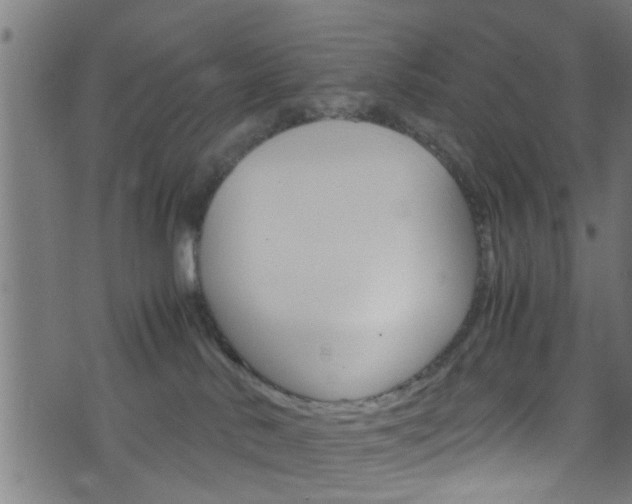 X0000071830042200606301046