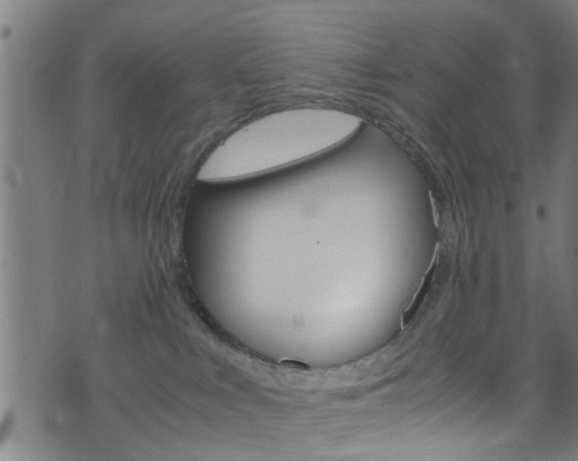 X0000071830043200606301046