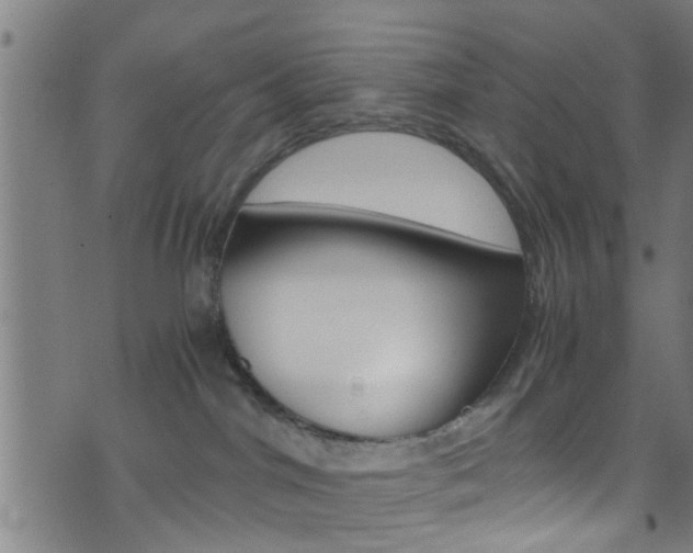 X0000071830044200606301046