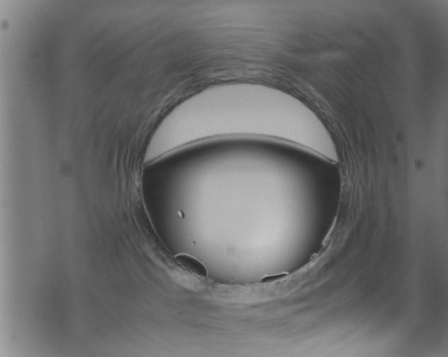 X0000071830045200606301046