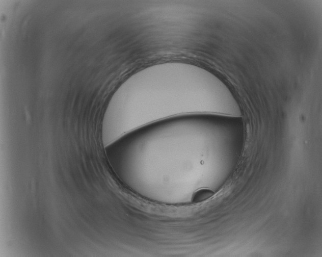 X0000071830048200606301046