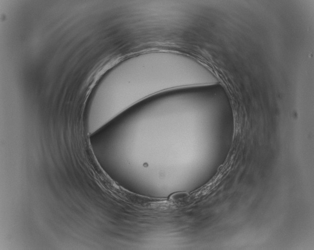 X0000071830050200606301045