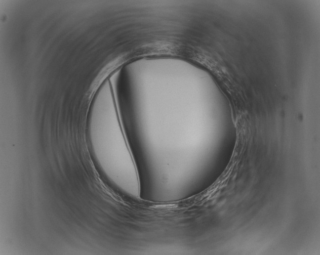 X0000071830051200606301045