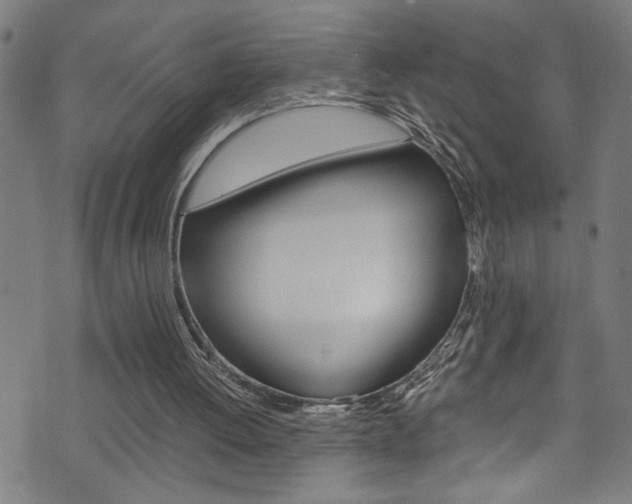 X0000071830052200606301045