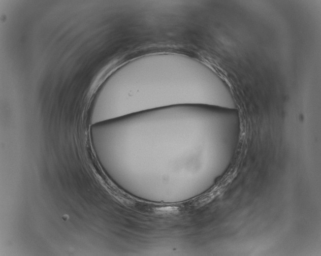 X0000071830053200606301045