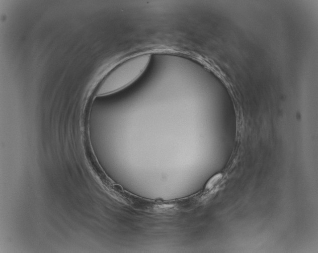 X0000071830055200606301045