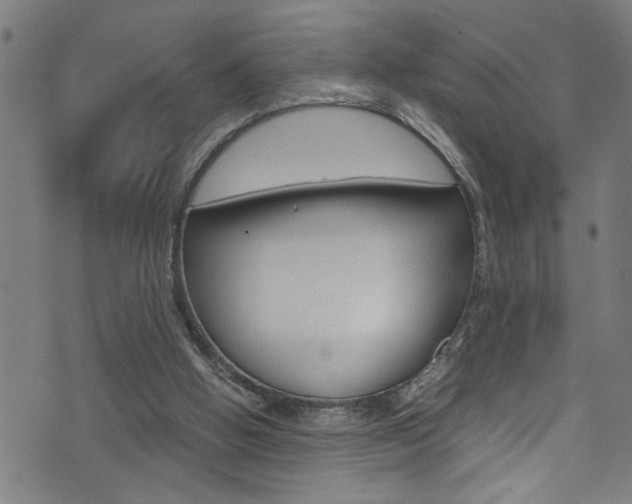 X0000071830058200606301045