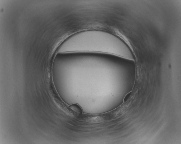 X0000071830059200606301045