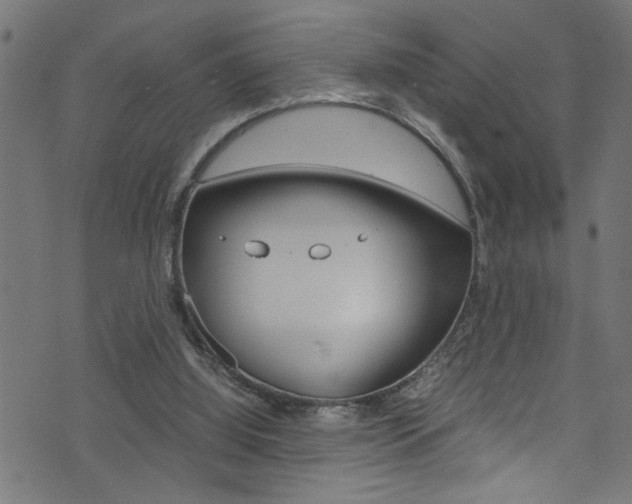 X0000071830060200606301045