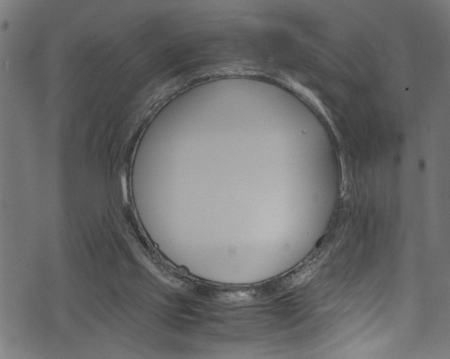 X0000071830061200606301045