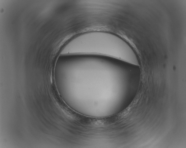 X0000071830062200606301045