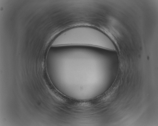 X0000071830063200606301045