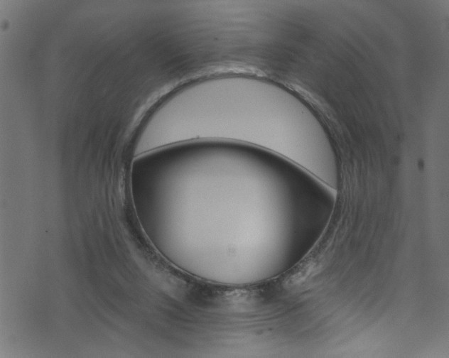 X0000071830064200606301045