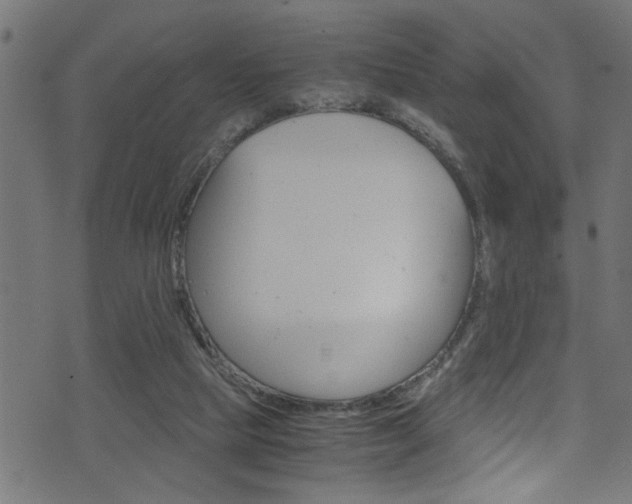 X0000071830065200606301045