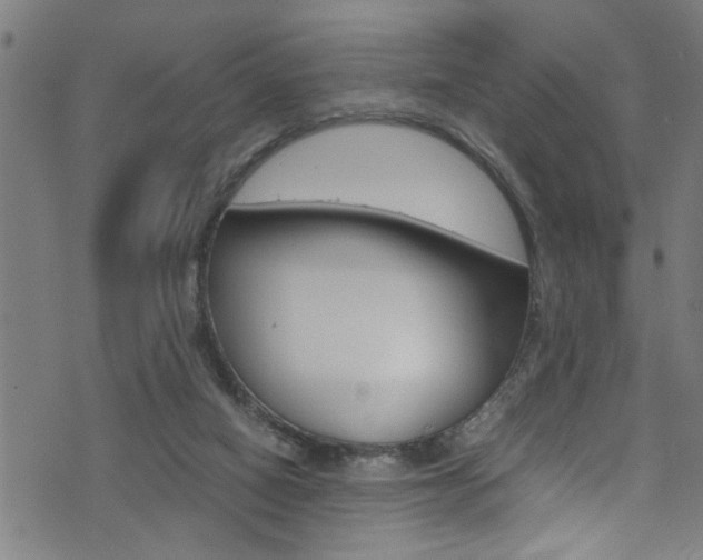 X0000071830066200606301046