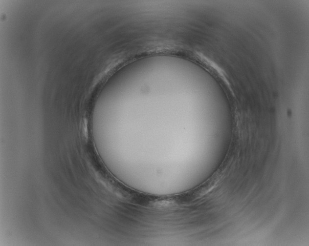 X0000071830067200606301046