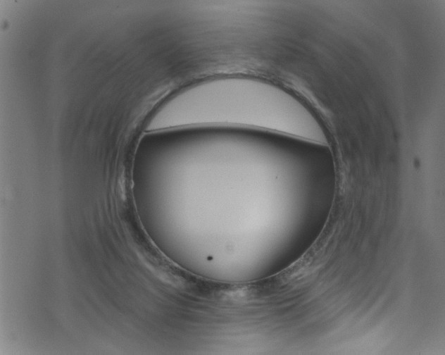 X0000071830068200606301046