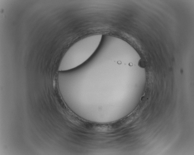 X0000071830069200606301046