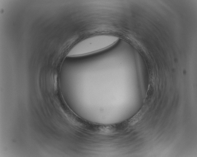 X0000071830070200606301046