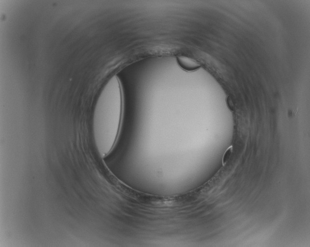 X0000071830071200606301046