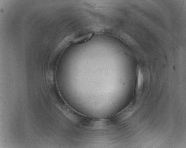 X0000071830072200606301046