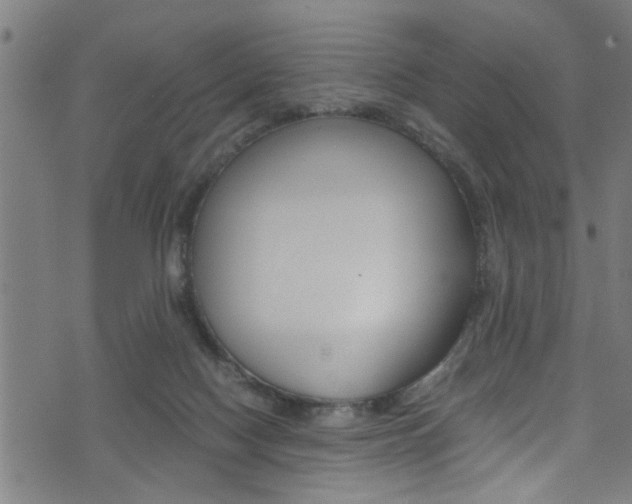 X0000071830074200606301046