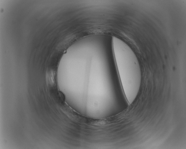 X0000071830075200606301046