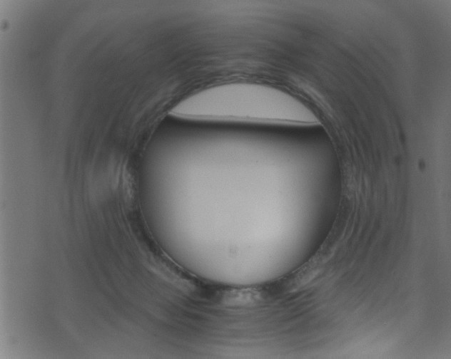 X0000071830077200606301046