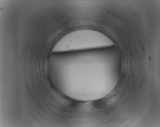 X0000071830078200606301046